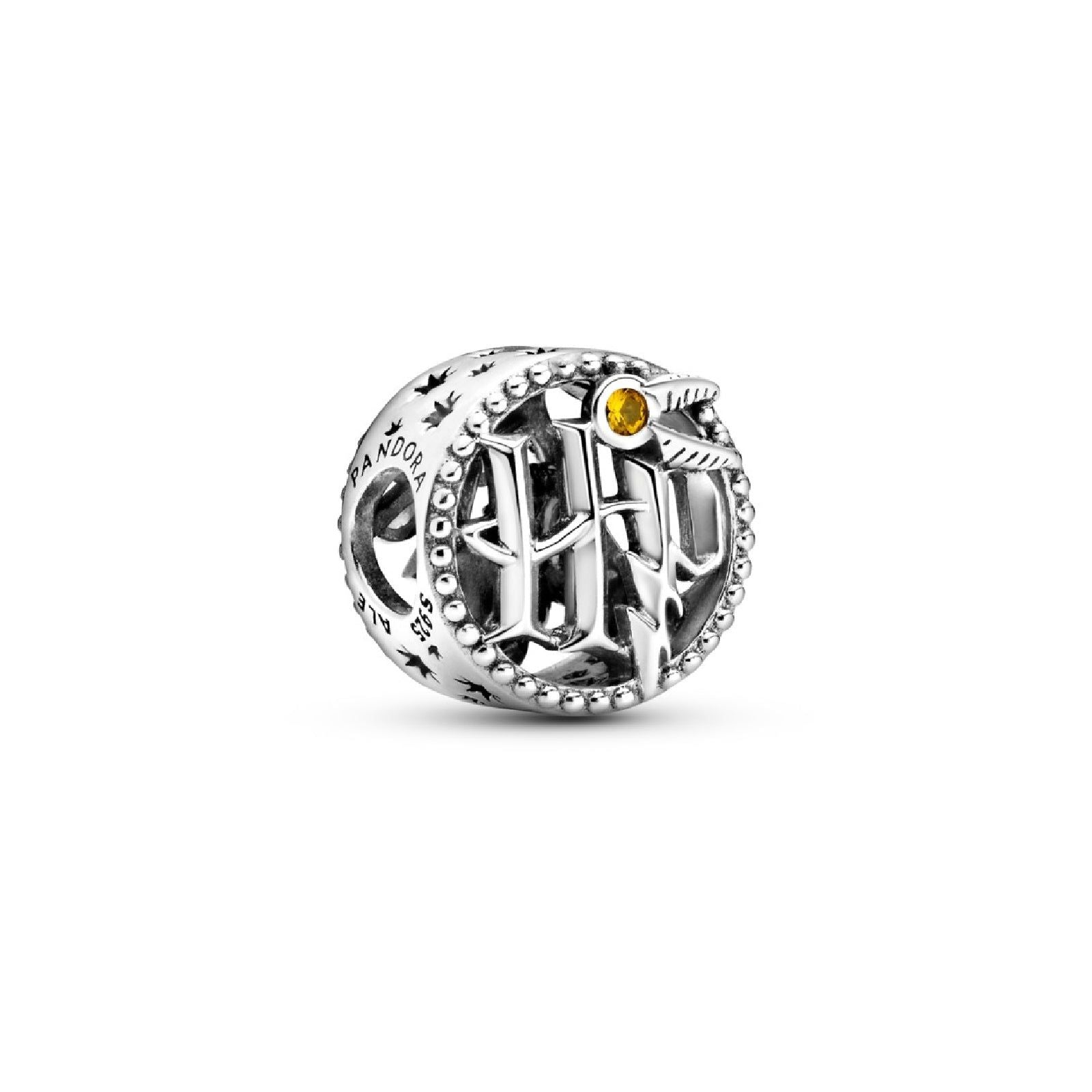 Harry Potter, Charm Icone con lavorazione openwork 799127C01-1