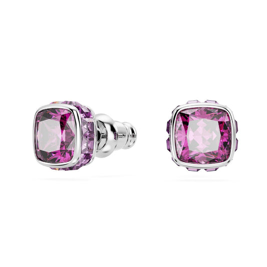 Orecchini punto luce donna Swarovski Birthstone cristallo viola febbraio 5660797-1
