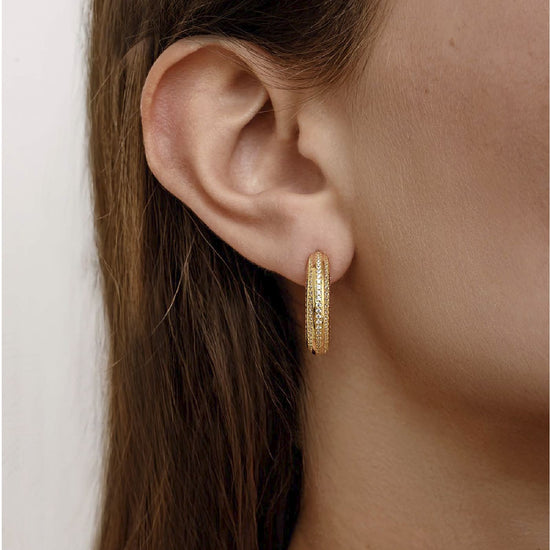 Orecchino cerchio Amabile Hoop Stripe in argento dorato zirconi MISURA UNICA