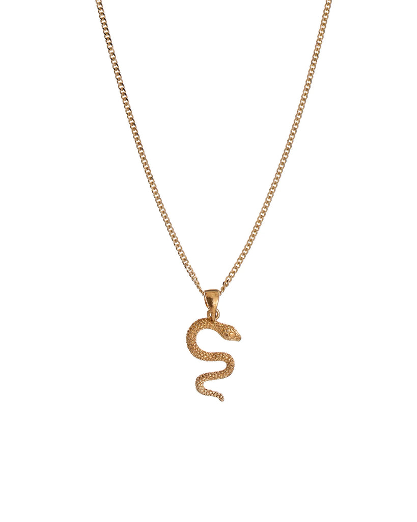 Collana girocollo da donna Alisia Snake in argento 925 dorato con ciondolo a forma di serpente AL3025-ORO
