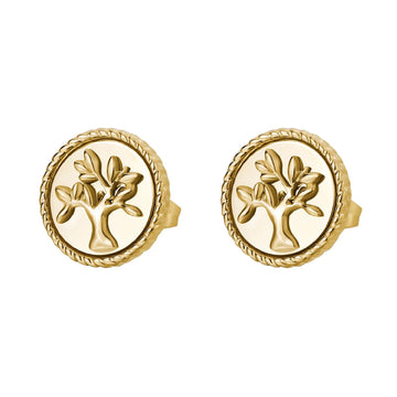 Orecchini Brosway Chakra da donna BHKE143-1