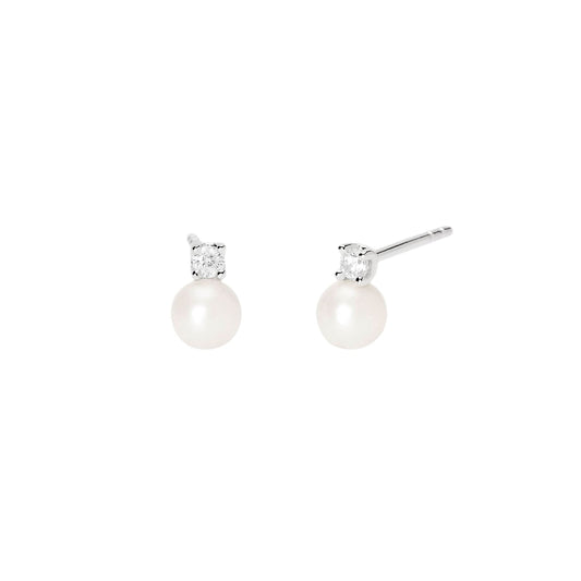 Scheda Tecnica Orecchini TOUS Bold Bear 1003881500 Argento 925 Scheda Tecnica Orecchini TOUS Bold Bear 1003881500 Argento 925