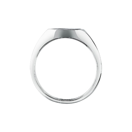 Anello Morellato Terra in acciaio e occhio di tigre da uomo 21
