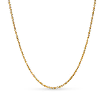 Collana a catena Pandora con placcatura in oro da donna P.368727C00-45