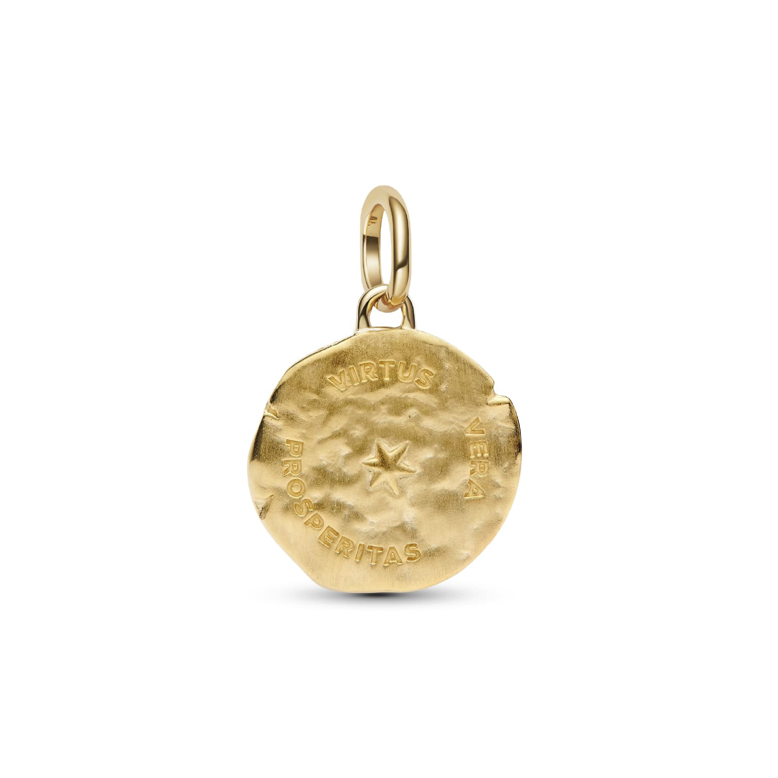 Charm Pandora Medallion in argento dorato e spiga di grano MISURA UNICA