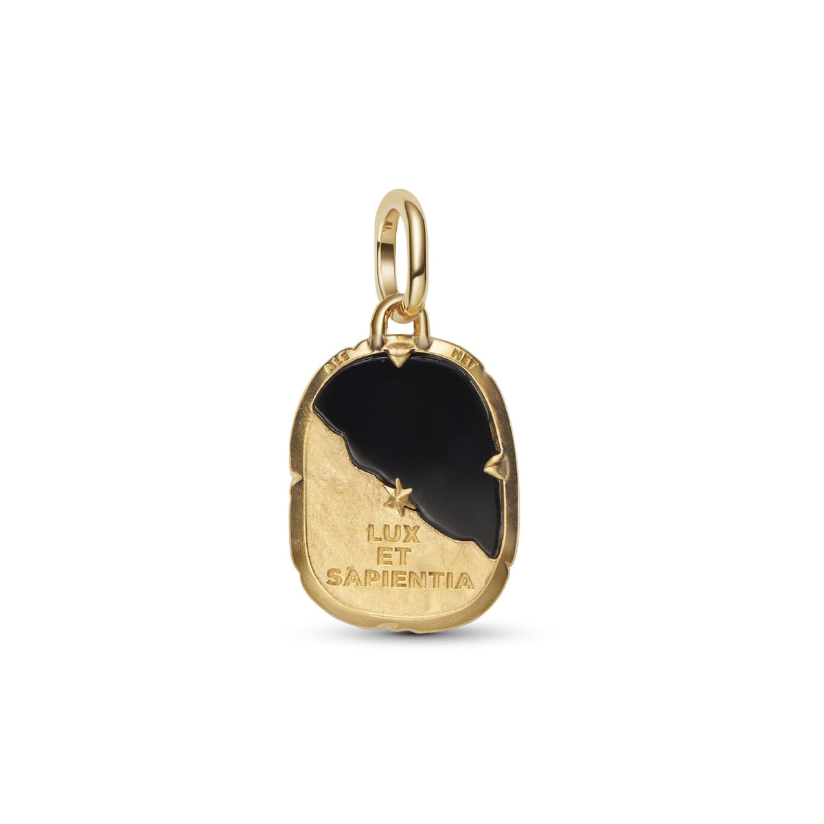 Charm Pandora Medallion argento dorato con gufo e cristallo MISURA UNICA