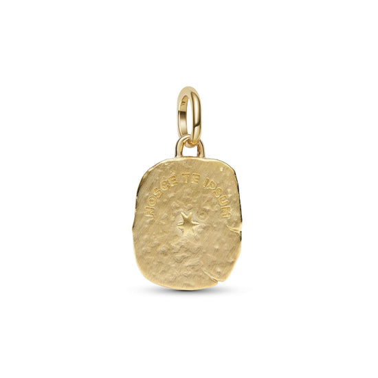 Charm Pandora Medallion in argento con occhio e cristallo MISURA UNICA