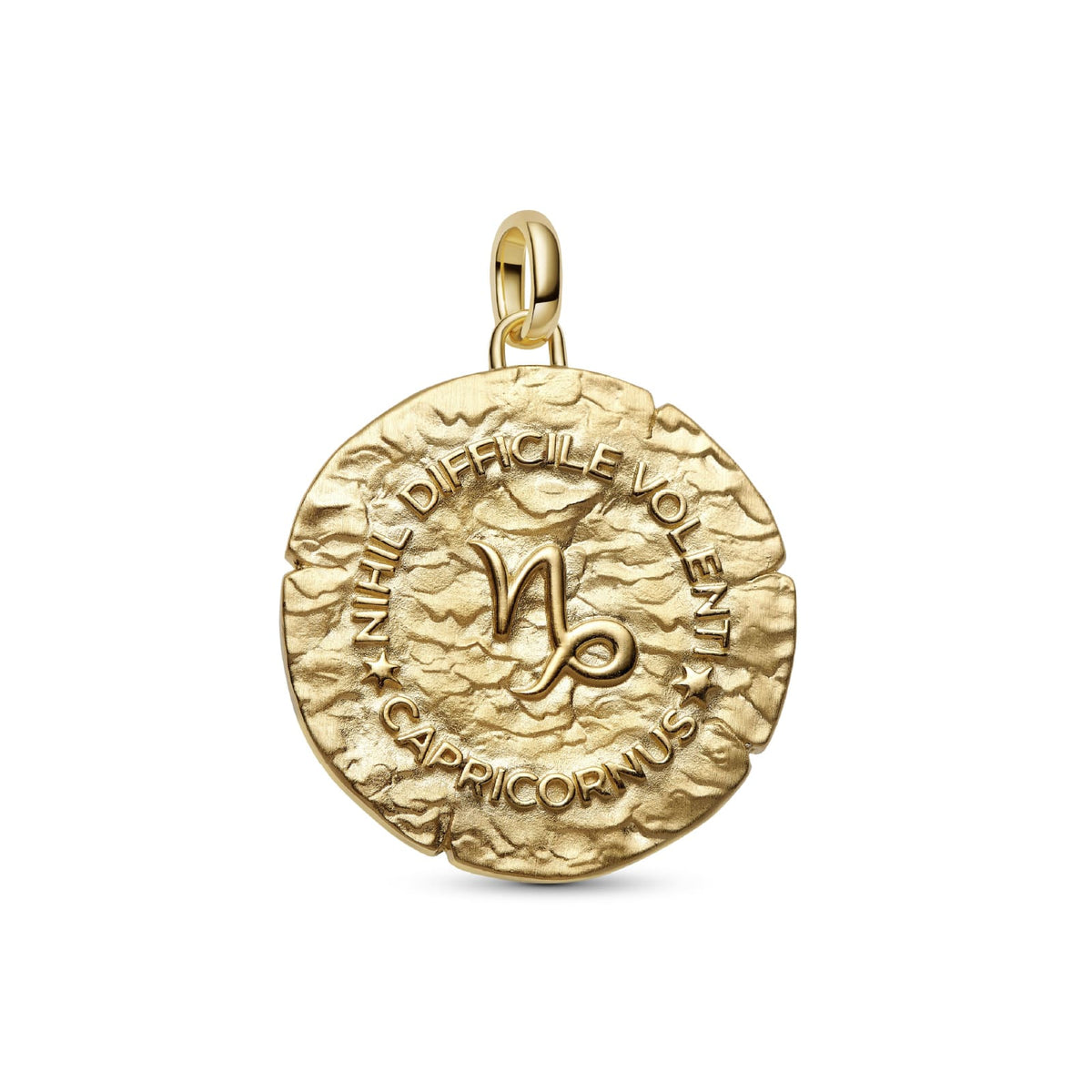 Charm Pandora Medallion XL argento dorato simbolo Capricorno MISURA UNICA