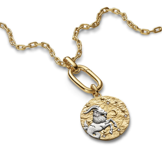 Charm Pandora Medallion XL argento dorato simbolo Capricorno MISURA UNICA
