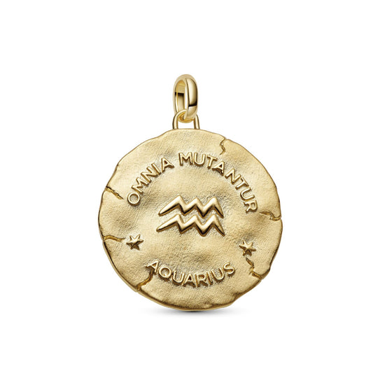 Charm Pandora Medallion XL in argento dorato simbolo Acquario MISURA UNICA
