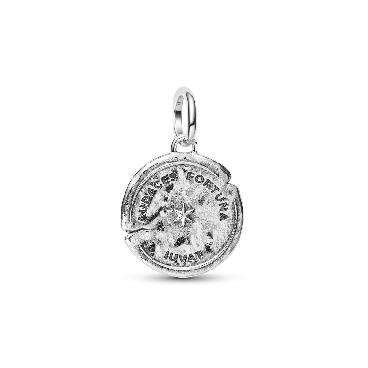 Charm Pandora Medallion in argento 925 delfino e zircone MISURA UNICA