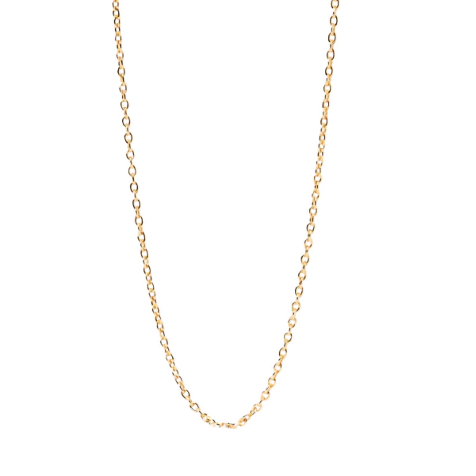 Collana catena PDPAOLA Charms in argento placcatura oro 18kt MISURA UNICA