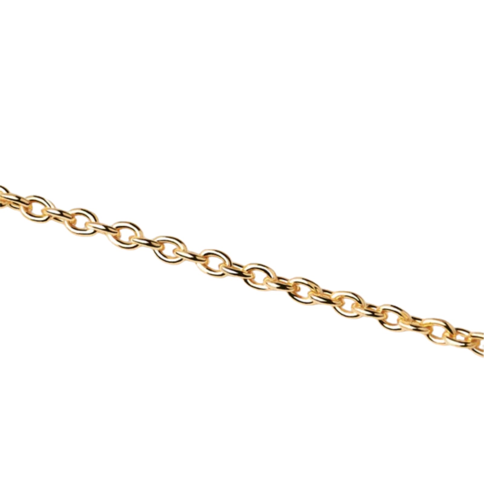 Collana catena PDPAOLA Charms in argento placcatura oro 18kt MISURA UNICA