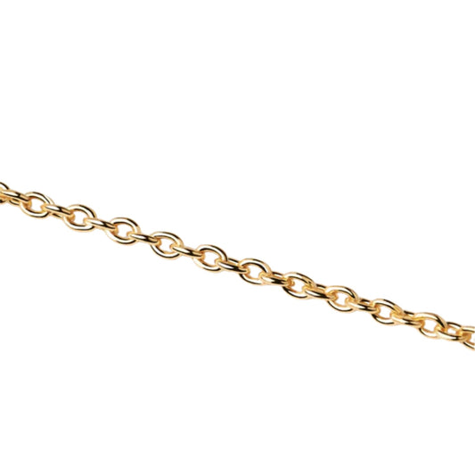 Collana catena PDPAOLA Charms in argento placcatura oro 18kt MISURA UNICA