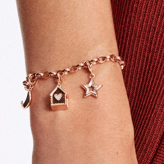 Charm donna Rosato Storie argento rosé casa pan zenzero marrone con zirconi RZLE072-2