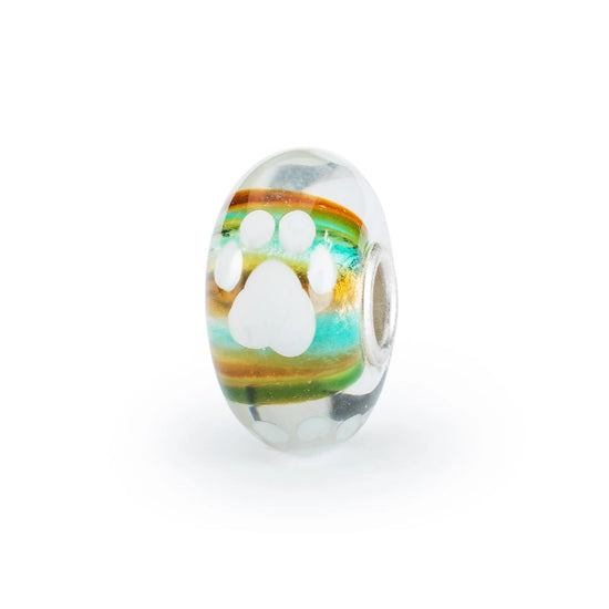 Set Trollbeads di 6 Beads in vetro colorato forti insieme MISURA UNICA