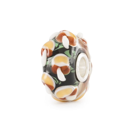 Set Trollbeads di 6 Beads in vetro tesori della foresta MISURA UNICA