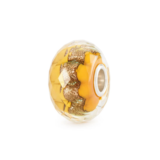 Set Trollbeads di 6 Beads vetro colorato vita nella natura MISURA UNICA