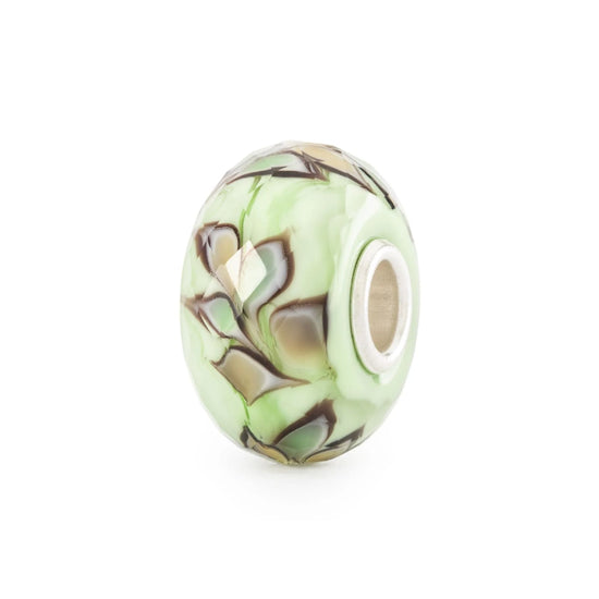 Set Trollbeads di 6 Beads vetro colorato vita nella natura MISURA UNICA