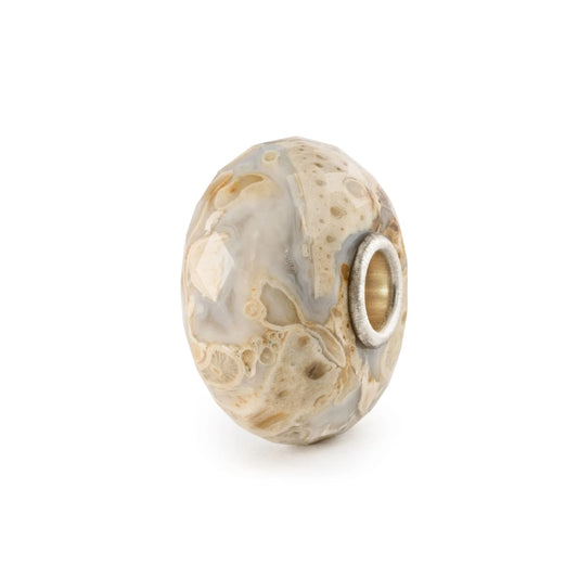 Beads da donna Trollbeads con pietra di legno fossile MISURA UNICA