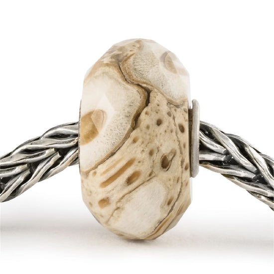 Beads da donna Trollbeads con pietra di legno fossile MISURA UNICA