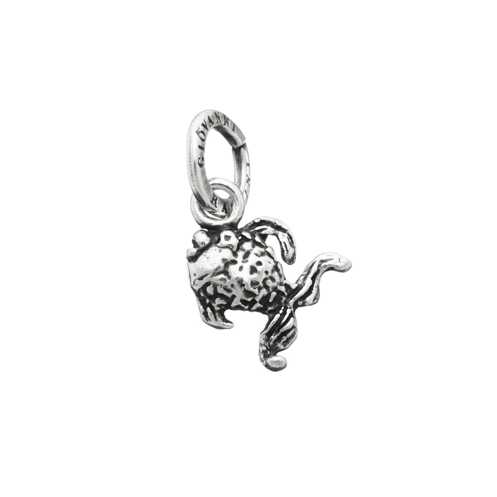 Charm Giovanni Raspini Mare unisex 06460-1