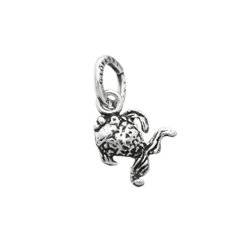Charm Giovanni Raspini Mare unisex 06460-1