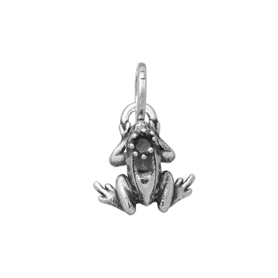 Charm Giovanni Raspini Fiabe unisex 10921-1