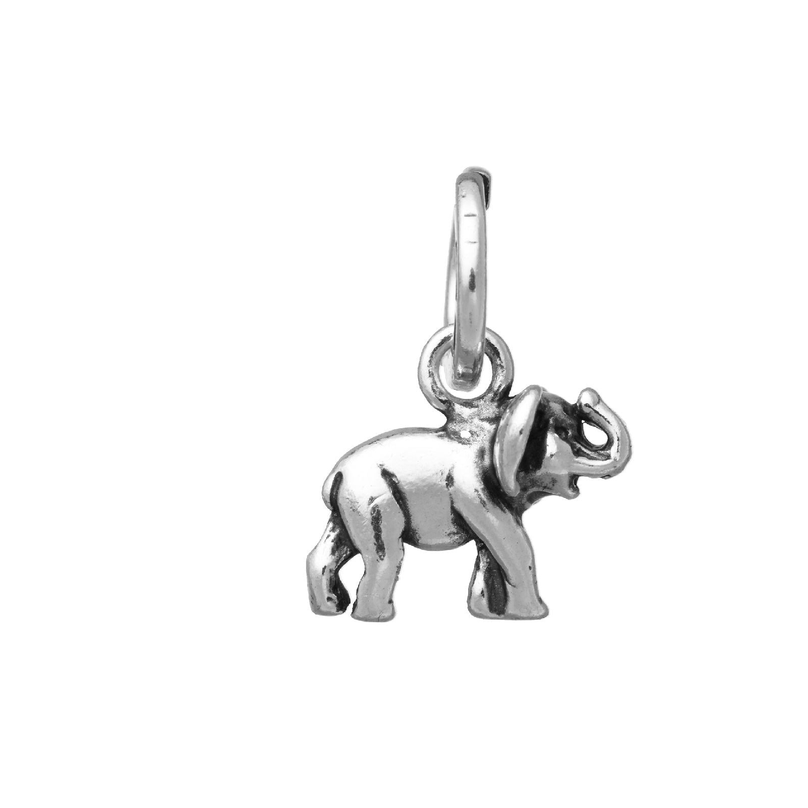 Charm Giovanni Raspini Amuleti unisex 10934-1