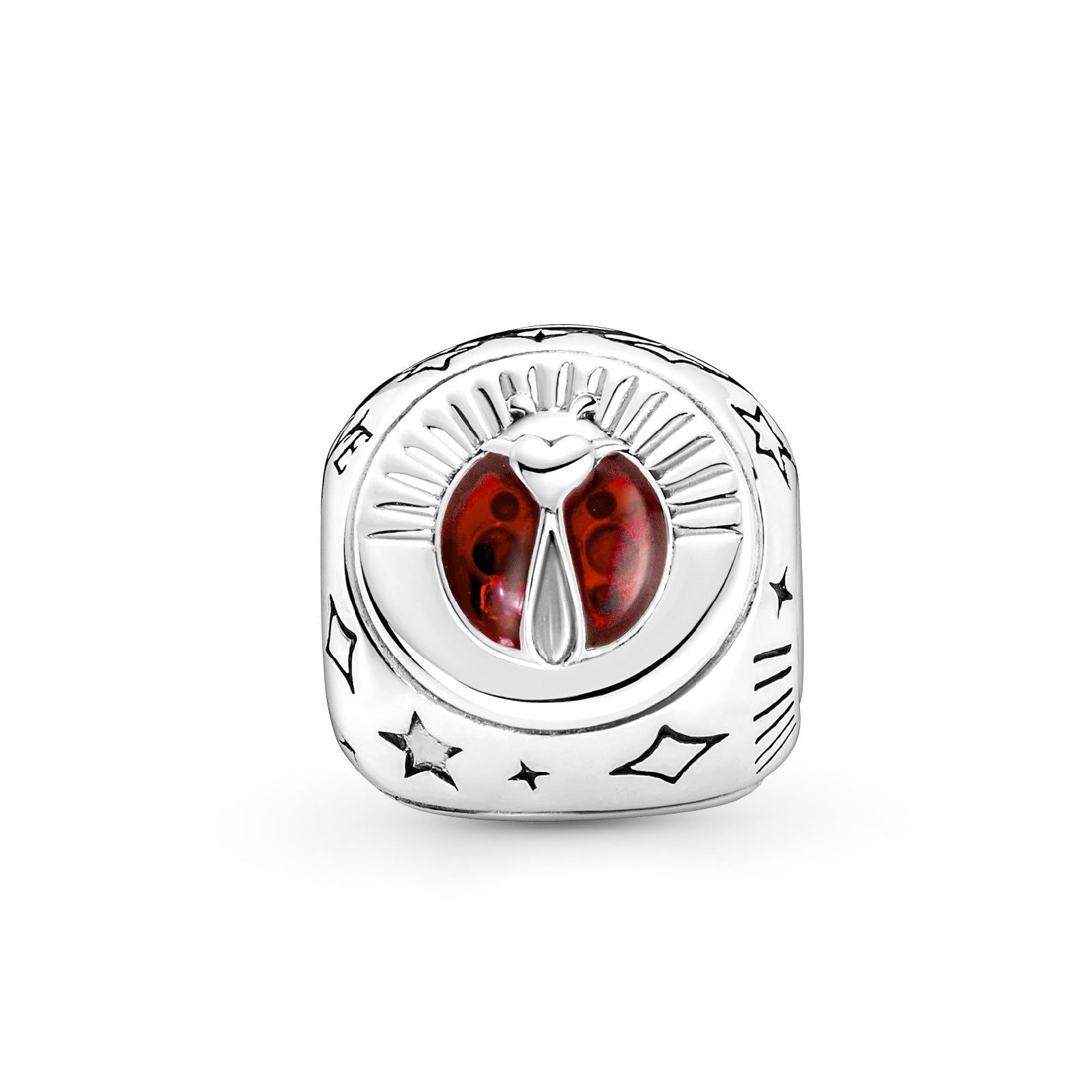 Charm Simboli della Fortuna 790100C01-1