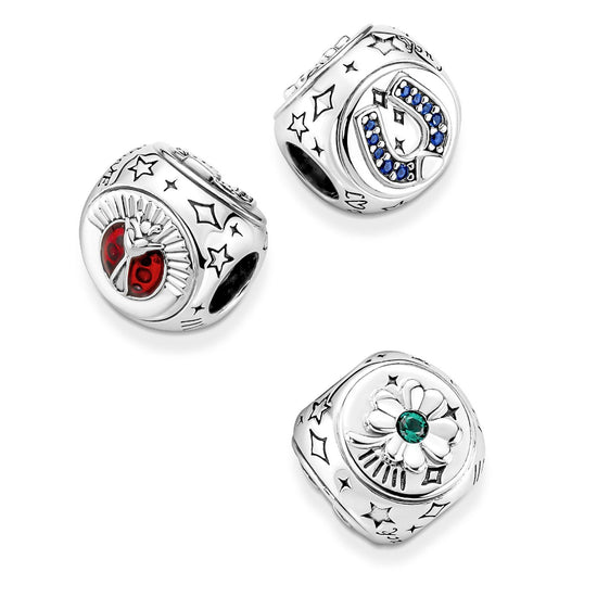 Charm Simboli della Fortuna 790100C01-4