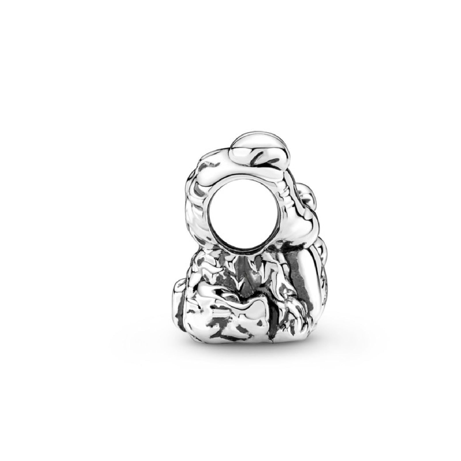 Charm Sempre al Tuo Fianco 790791C01-2