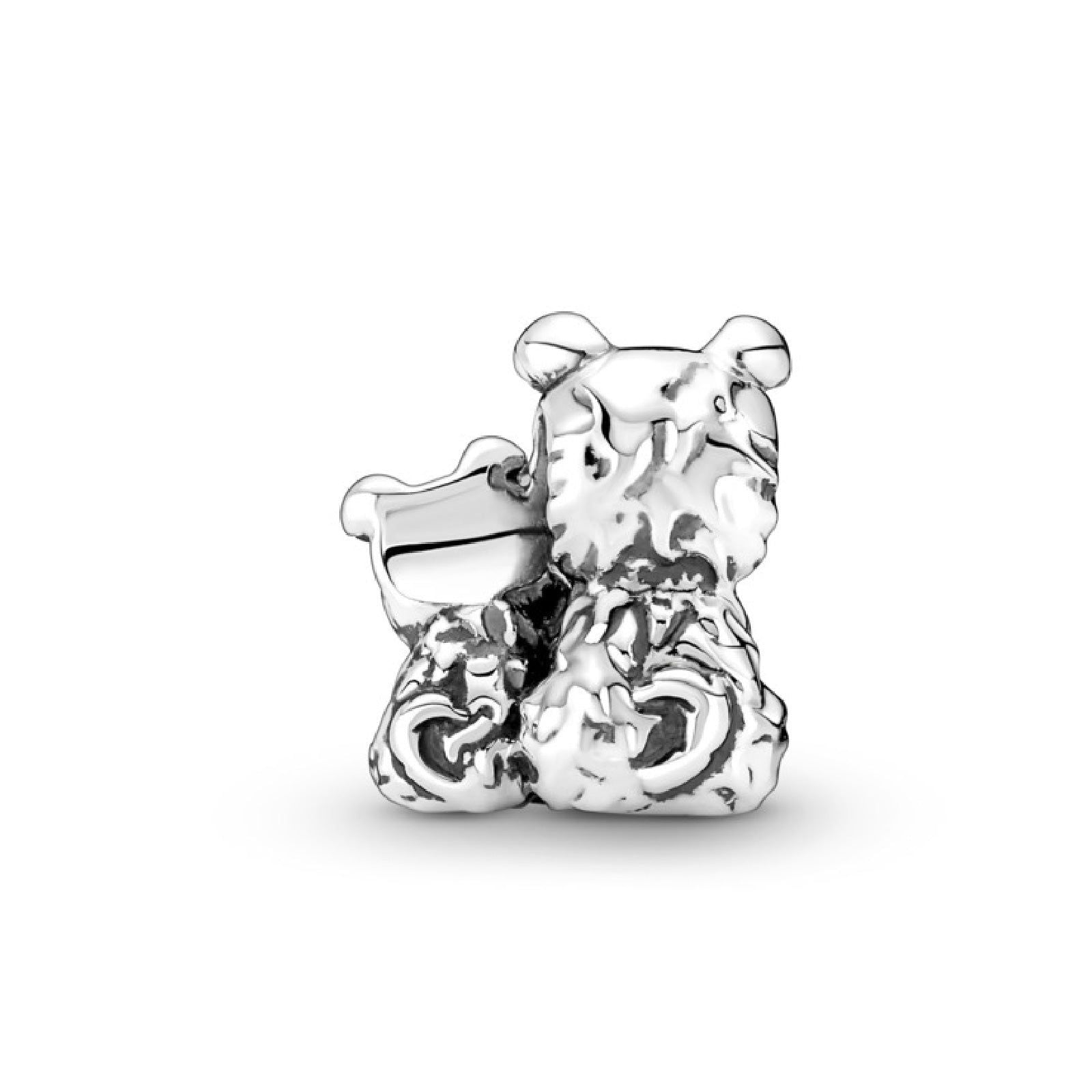 Charm Sempre al Tuo Fianco 790791C01-3