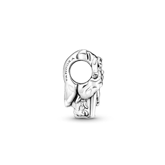 Star Wars™, Charm Ewok™ 791136C00-3