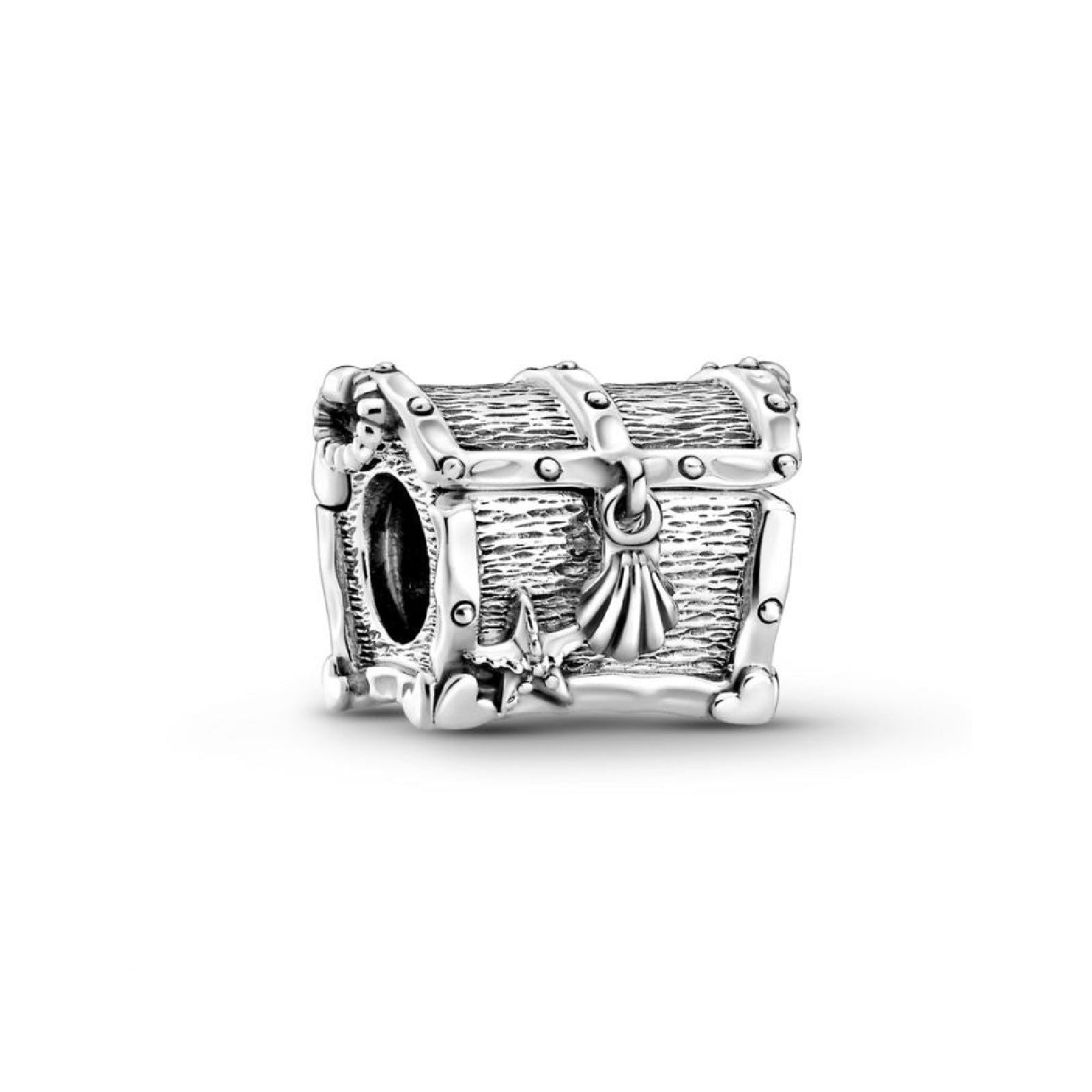 Charm Scrigno del tesoro 799432C00-1