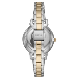 Cofanetto Orologio solo tempo Fossil Daisy 3 Hand da donna