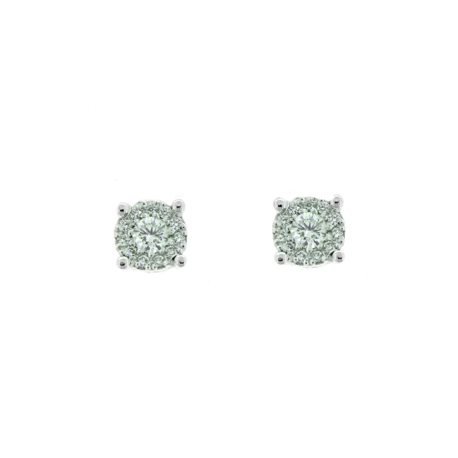 Orecchini Rose Gioielli da donna FA604-10-1