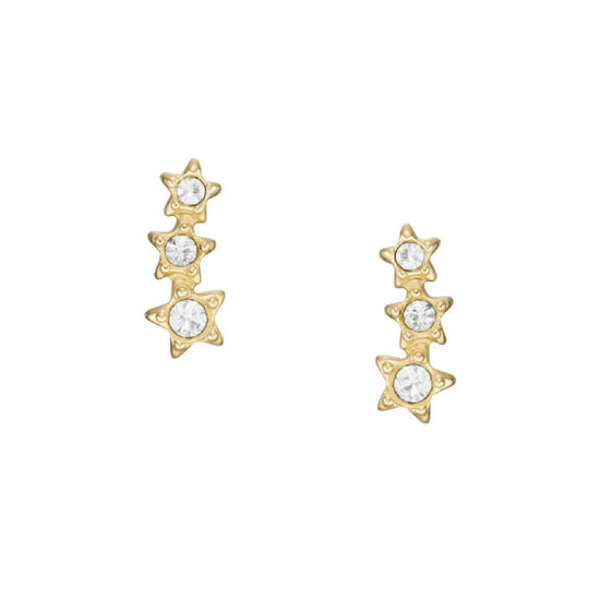 Orecchini Fossil Sadie da donna JF04241710-1