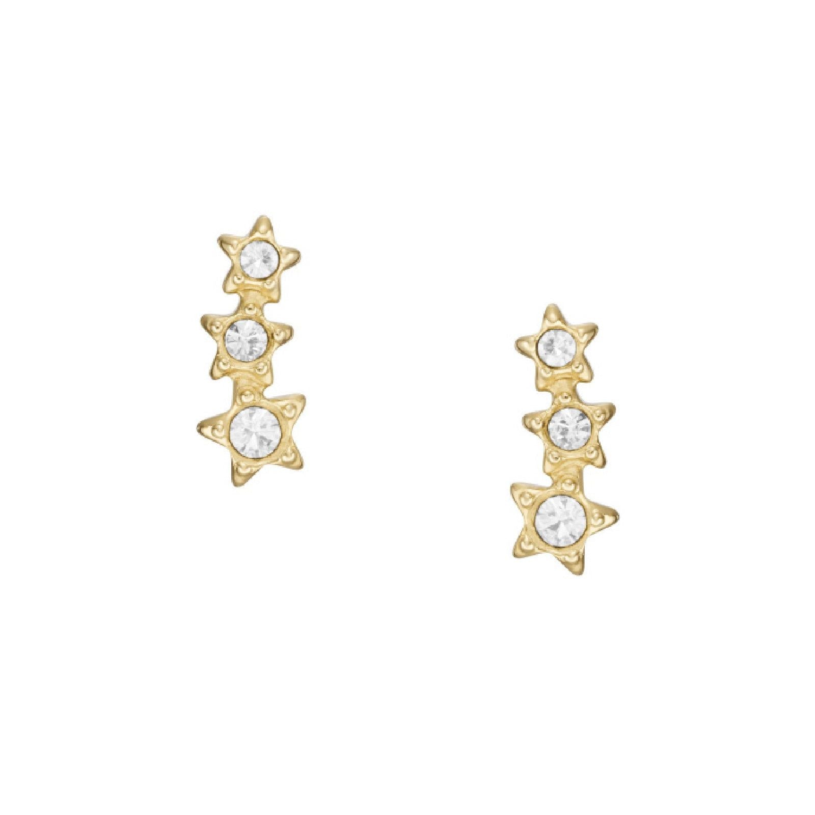Orecchini Fossil Sadie da donna JF04241710-1