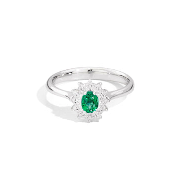 Anello Recarlo Camelia da donna R77CC001-SM-11-1