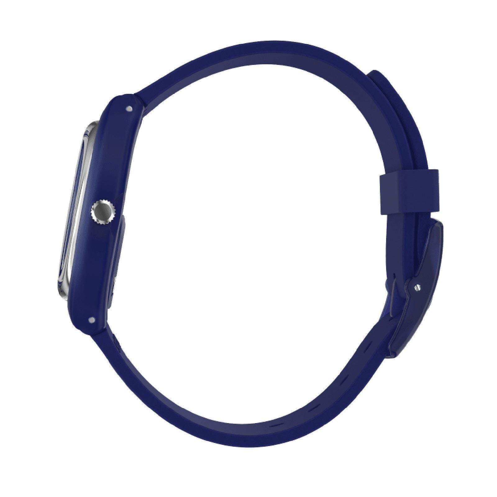 Orologio solo tempo Swatch Monthly The June da uomo SO28N108-2